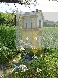 借信用卡逾期没 还五万